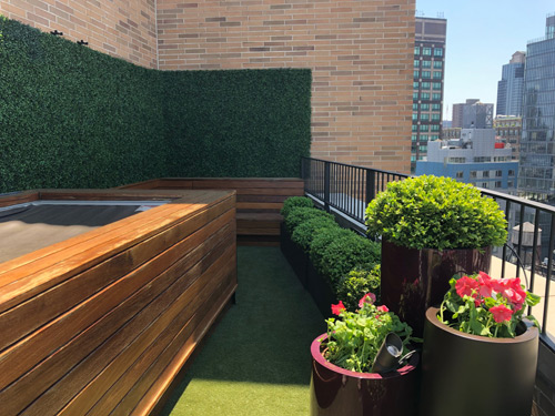 Terrace boxwood